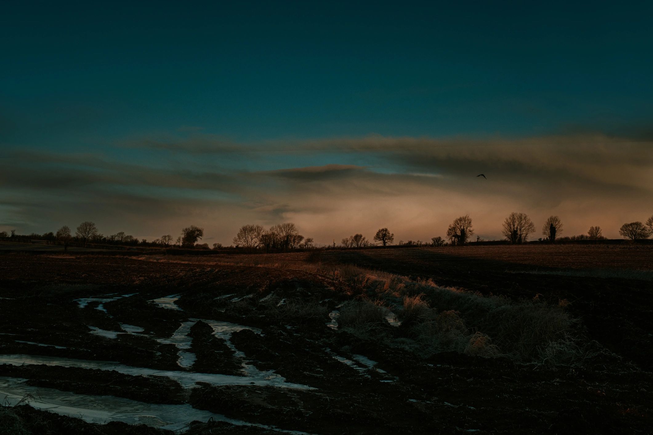 Countryside farm path at sunrise