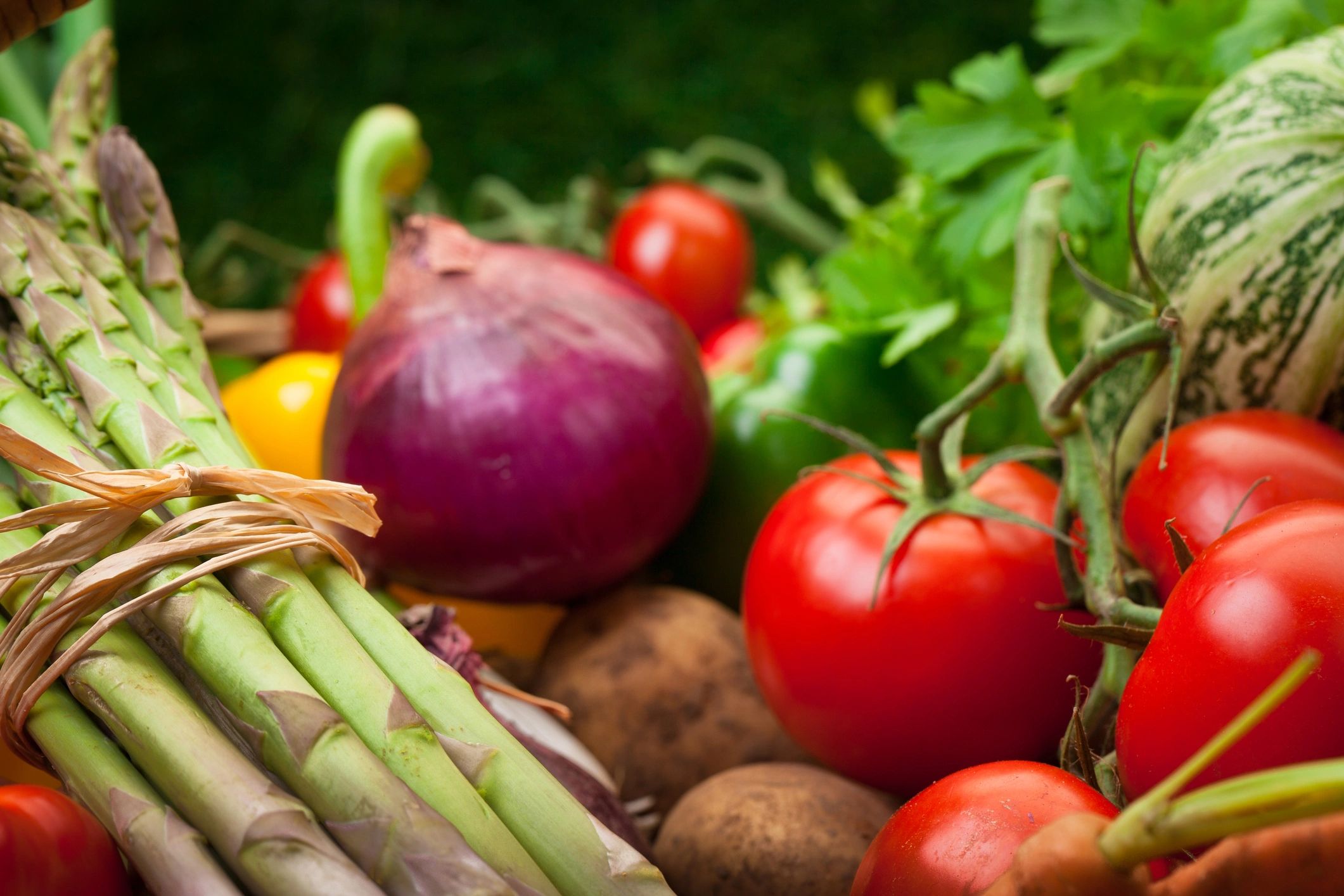 Assorted fresh vegetables close-up