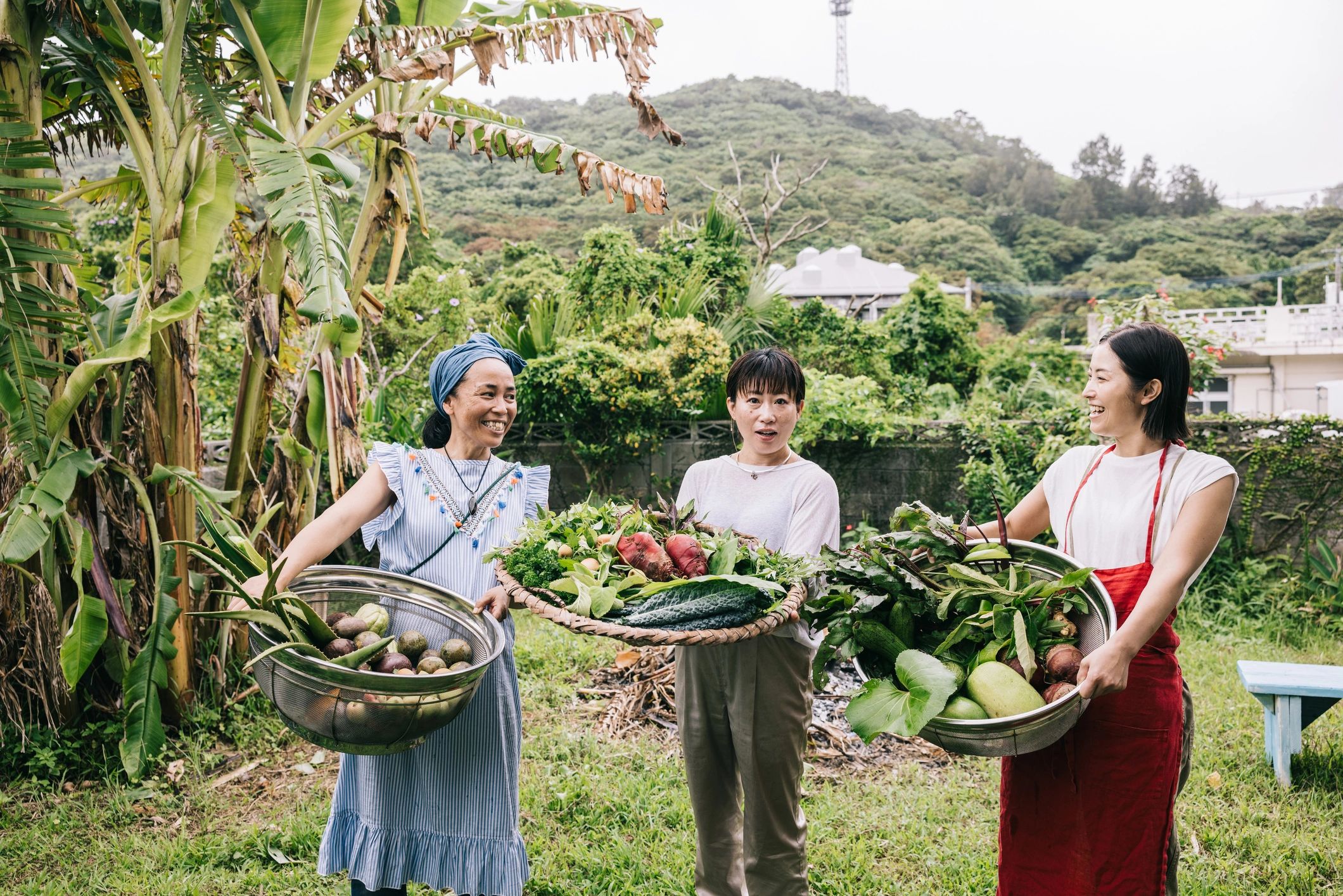 Farm team holding a basket of freshly harvested vegetables