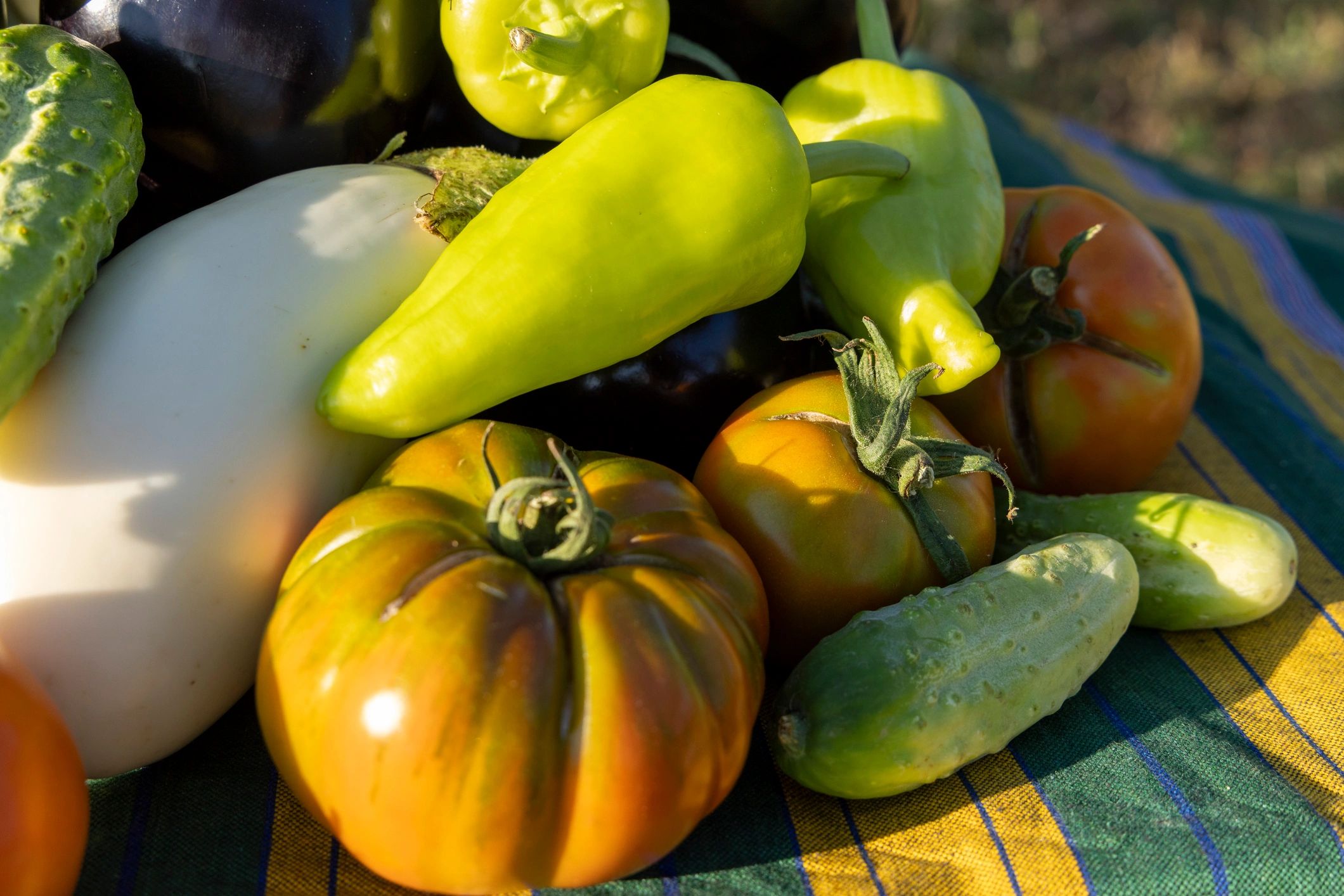 Assorted fresh vegetables arranged on a table